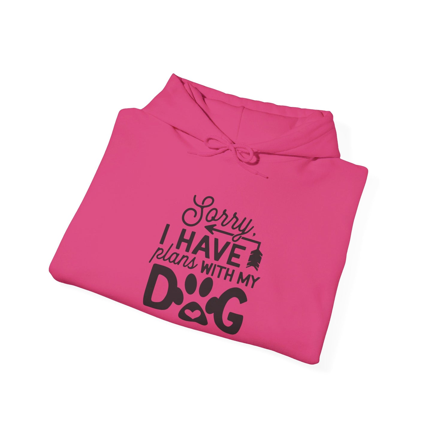 Sorry I Have Plans with My Dog - Hooded Sweatshirt