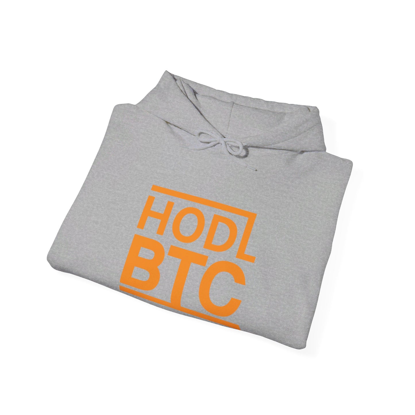 HODL BTC, Embrace the Future - Hooded Sweatshirt