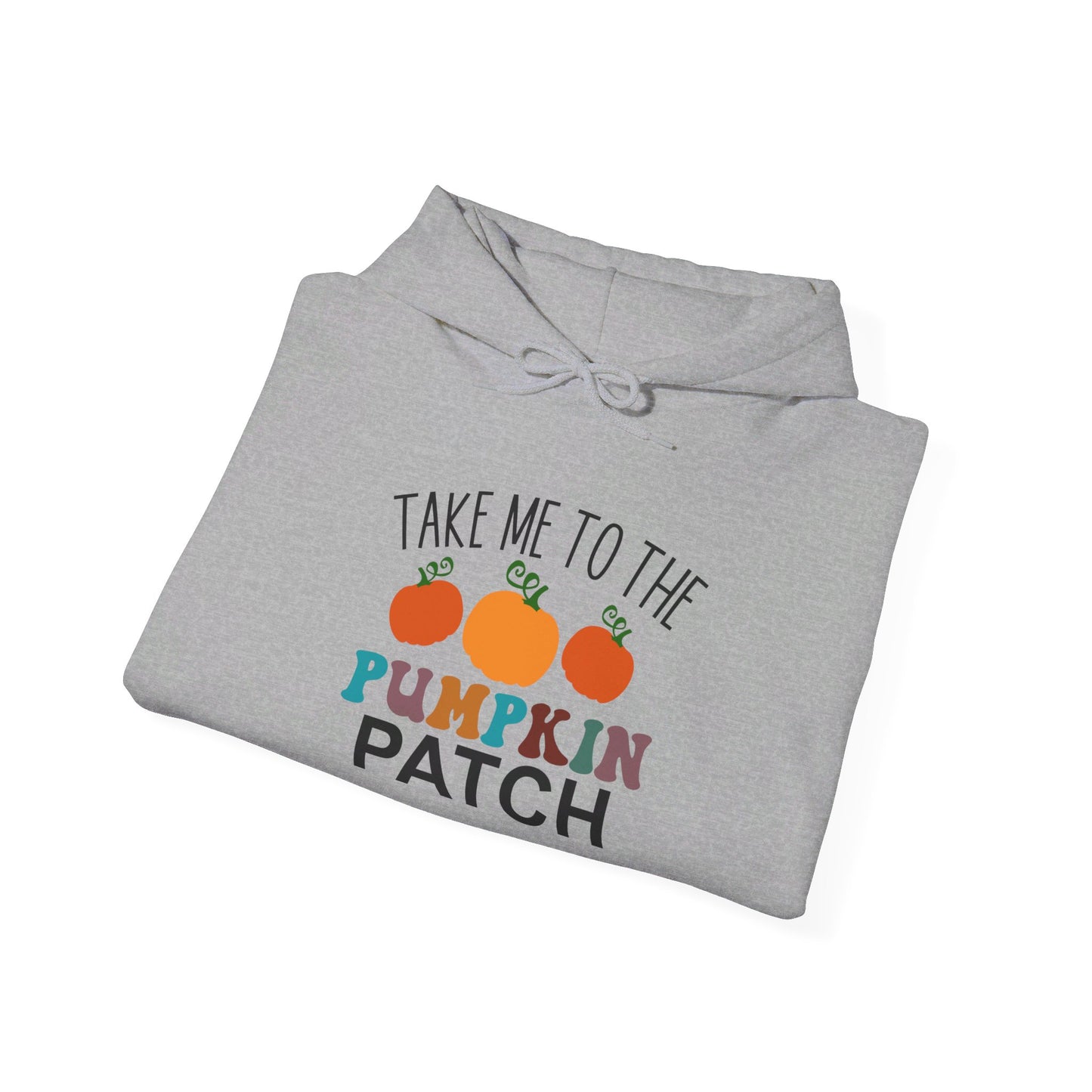 Take Me To The Pumpkin Patch - Hooded Sweatshirt