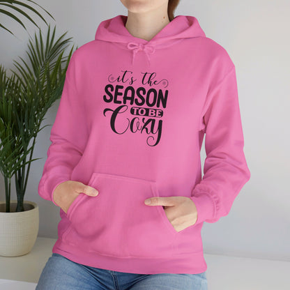 Cozy Up, It’s That Season - Hooded Sweatshirt