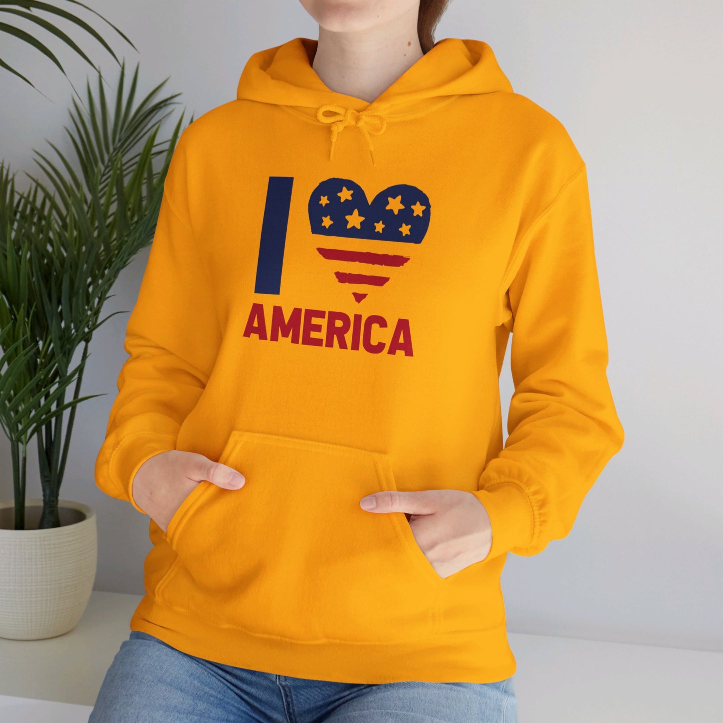 Heartfelt Love for the America - Hooded Sweatshirt