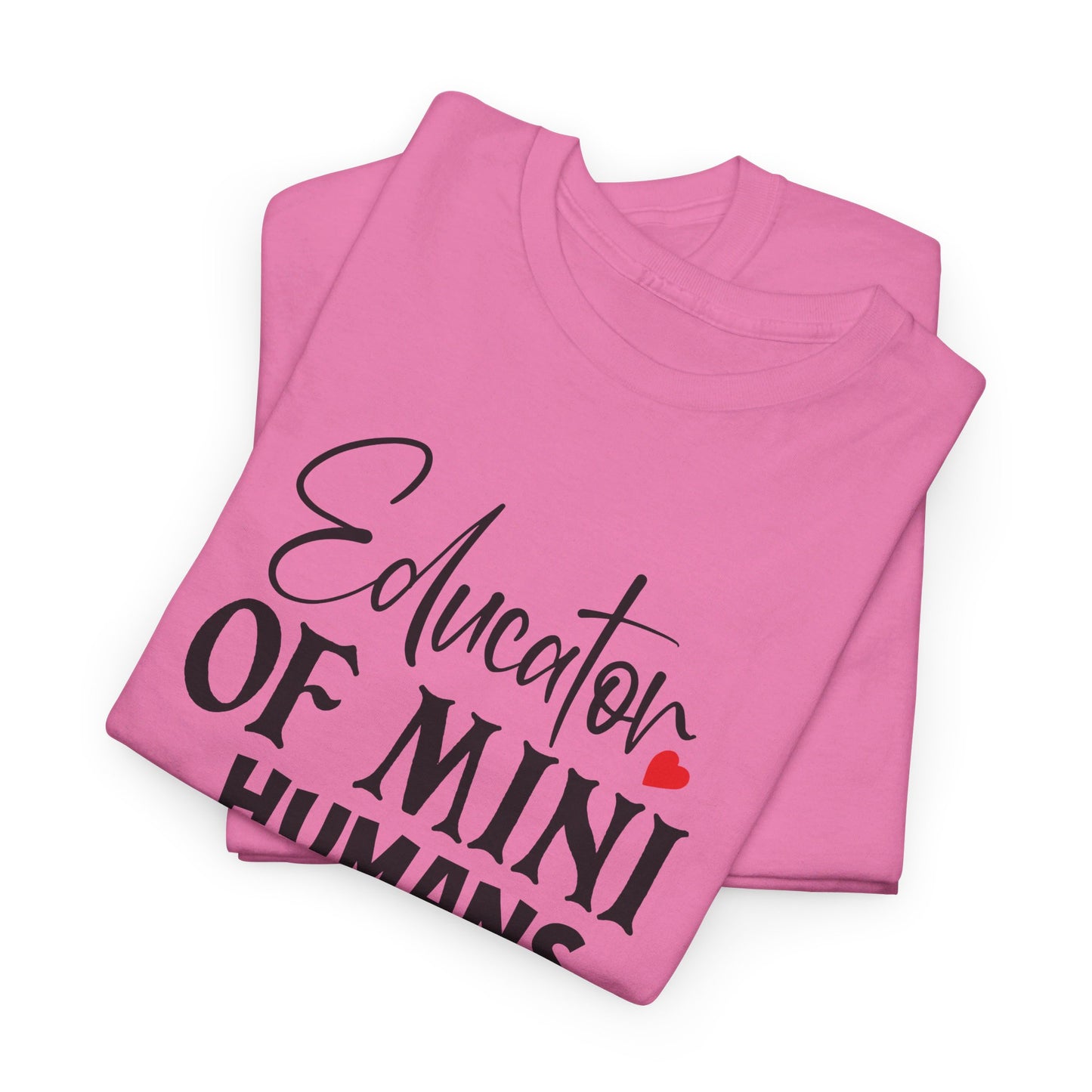 Educator Of Mini Humans - T-Shirt