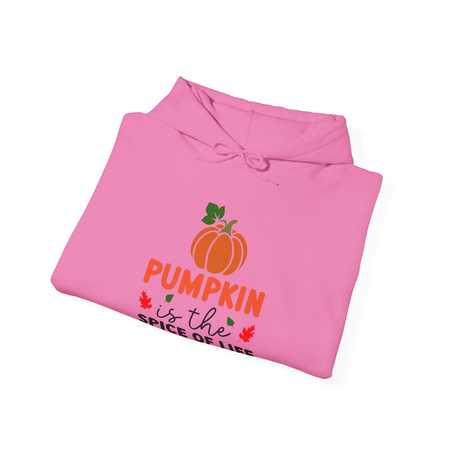 Pumpkin Is the Spice of Life - Hooded Sweatshirt