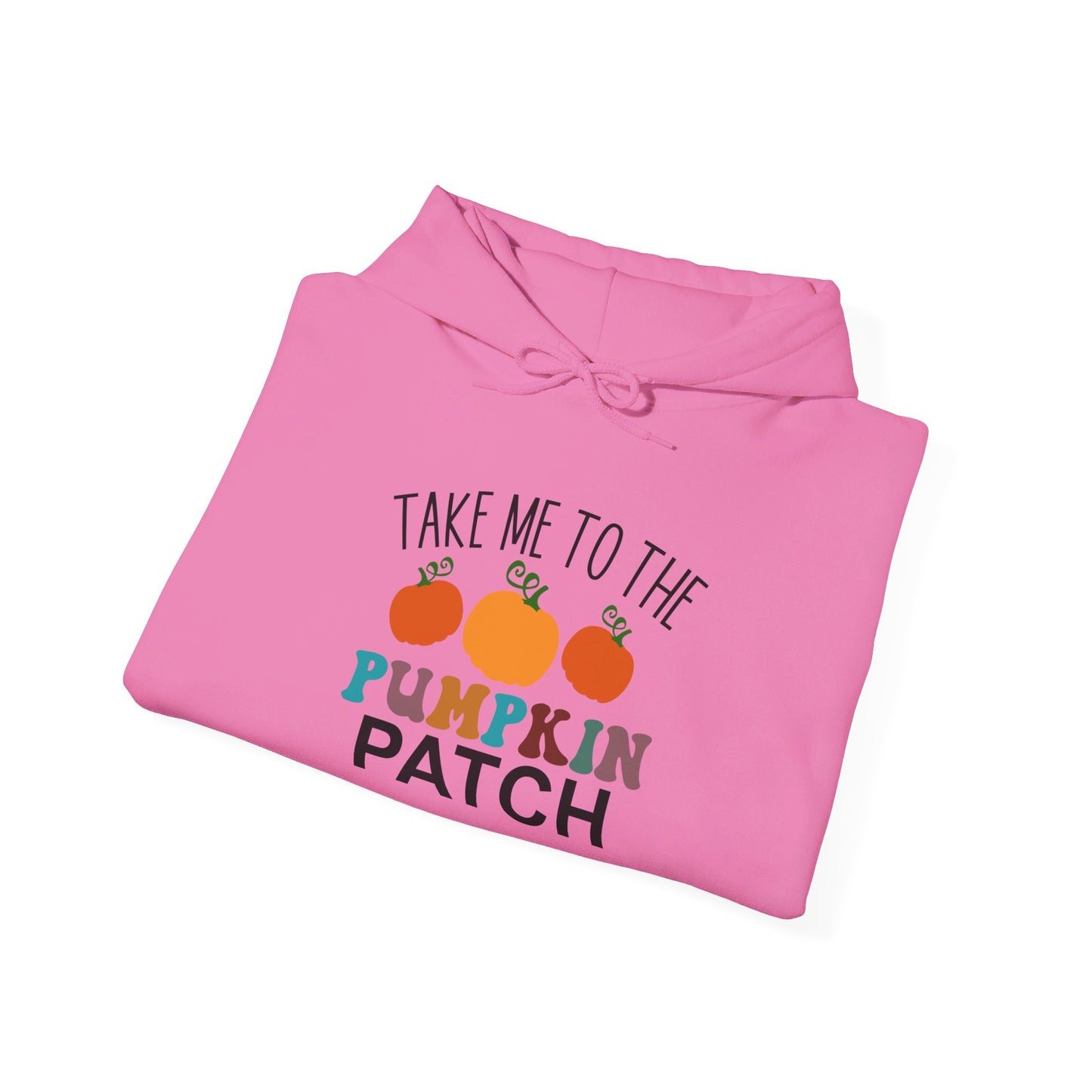 Take Me To The Pumpkin Patch - Hooded Sweatshirt