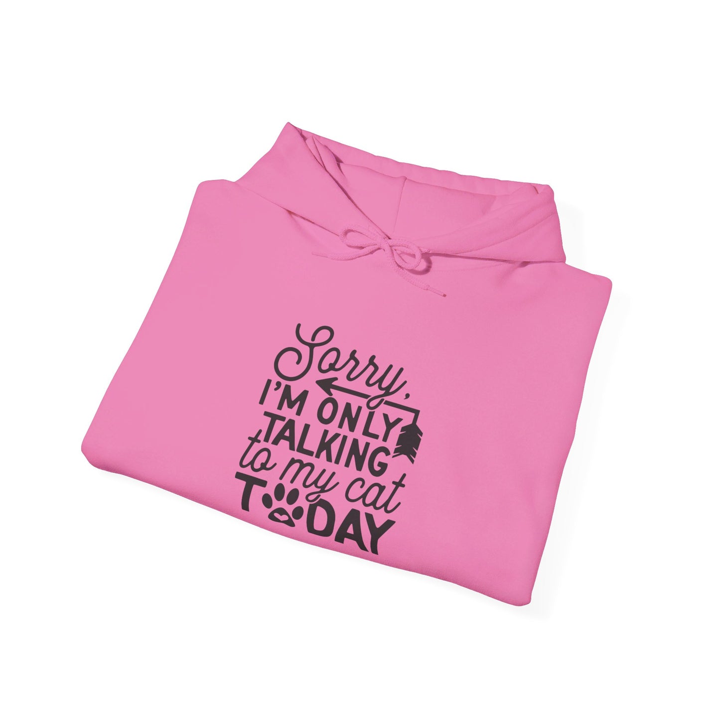 Sorry, I Am Only Talking to My Cat Today - Hooded Sweatshirt