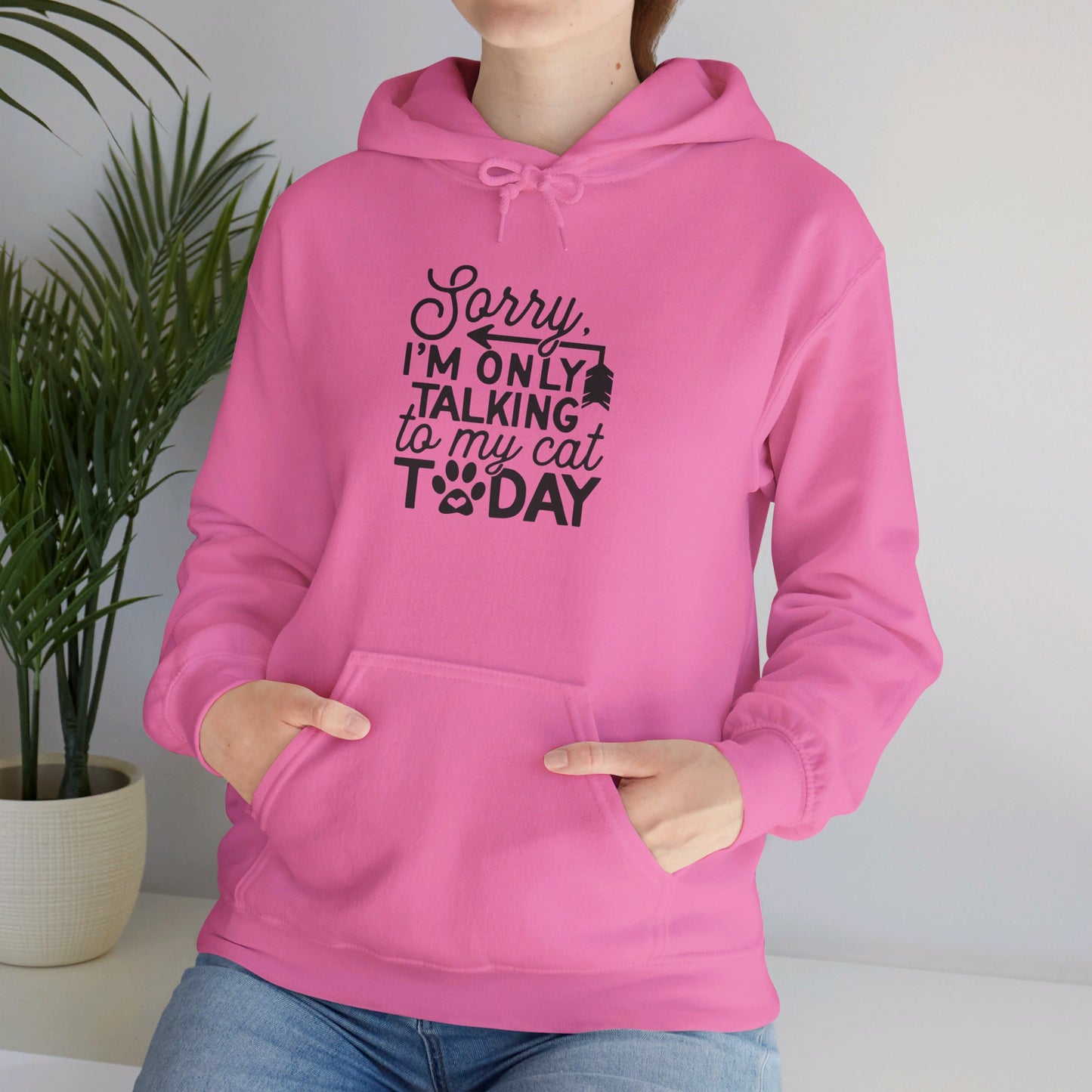 Sorry, I Am Only Talking to My Cat Today - Hooded Sweatshirt