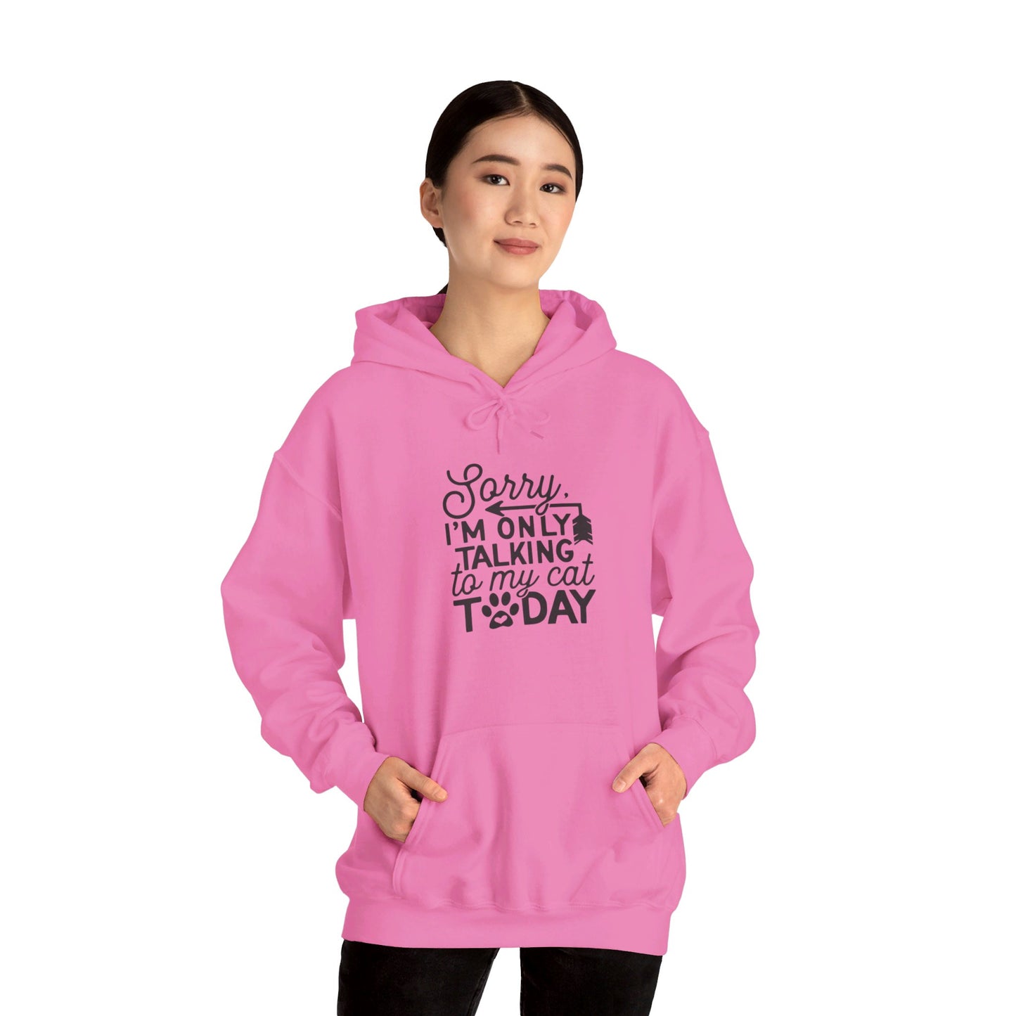 Sorry, I Am Only Talking to My Cat Today - Hooded Sweatshirt