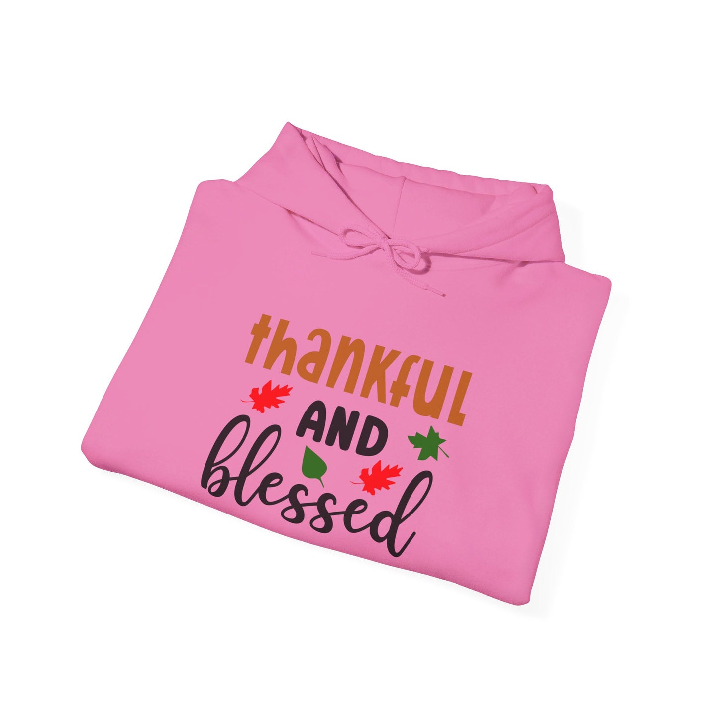 Thankful And Blessed - Hooded Sweatshirt