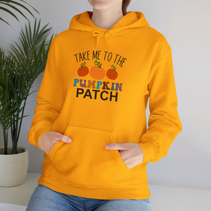 Take Me To The Pumpkin Patch - Hooded Sweatshirt