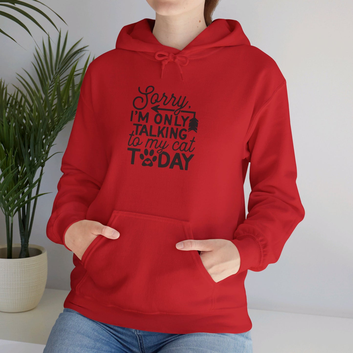 Sorry, I Am Only Talking to My Cat Today - Hooded Sweatshirt