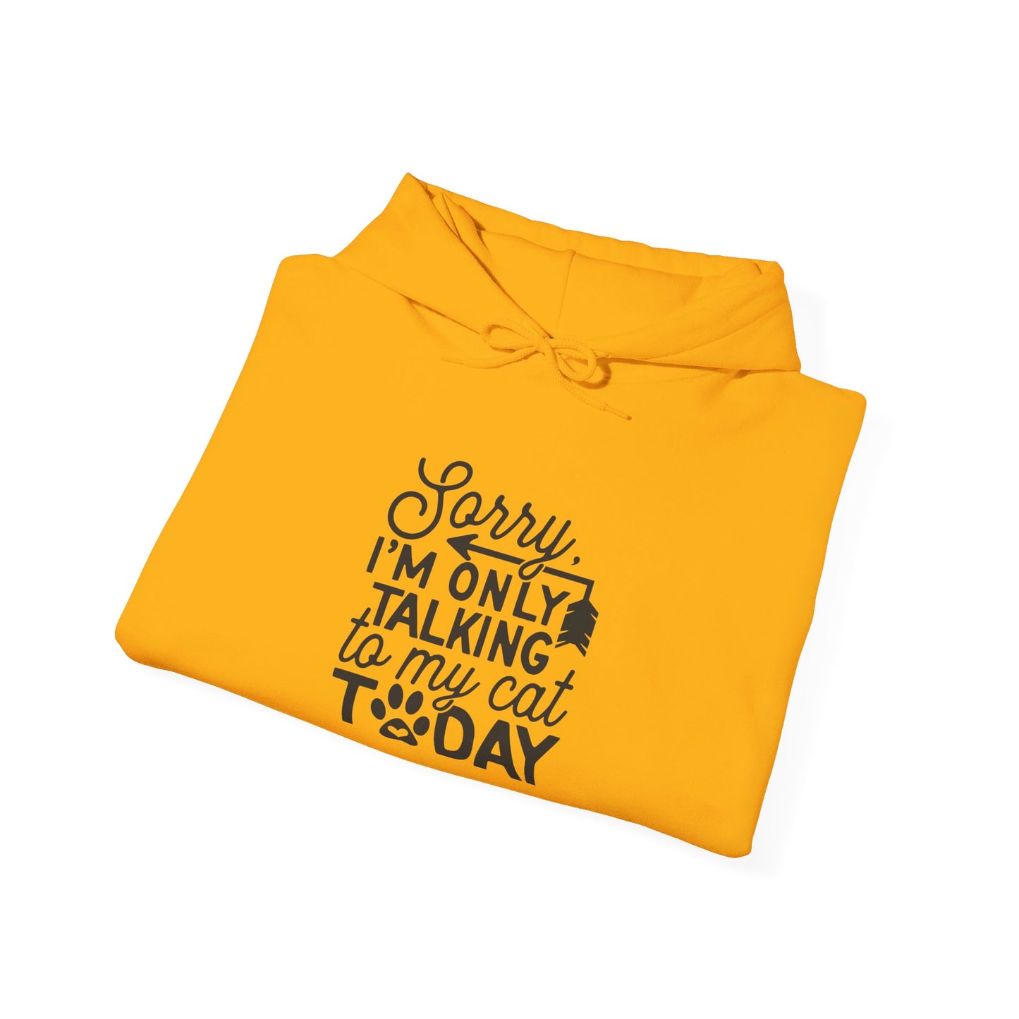 Sorry, I Am Only Talking to My Cat Today - Hooded Sweatshirt