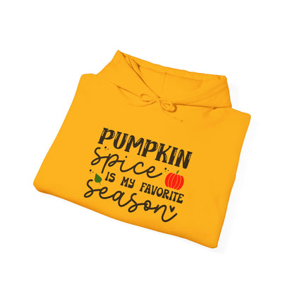 Pumpkin Spice Is My Favorite Season - Hooded Sweatshirt