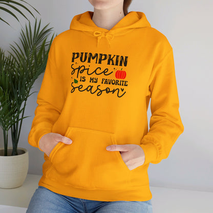 Pumpkin Spice Is My Favorite Season - Hooded Sweatshirt